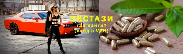 сатива Бородино
