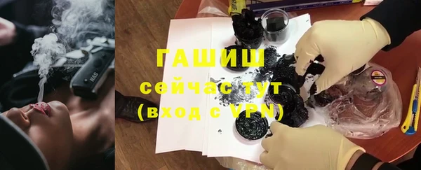 сатива Бородино