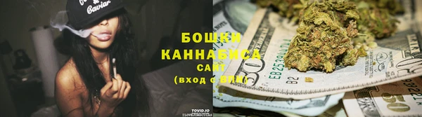 сатива Бородино