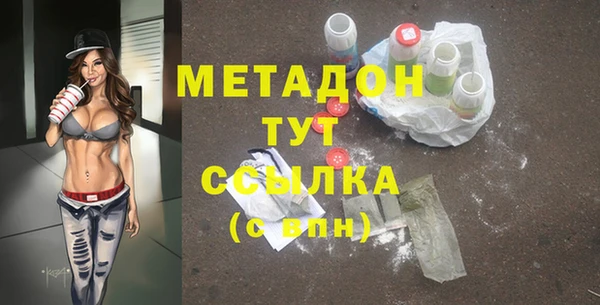 сатива Бородино