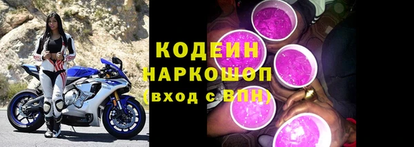 сатива Бородино