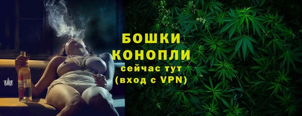 сатива Бородино