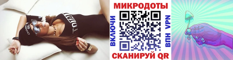 Купить закладки  Славянск-на-Кубани  Псилоцибиновые грибы Cubensis 